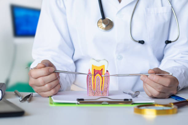 Best Walk-In Emergency Dentist in Canyon Day, AZ